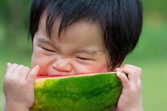 寶寶吃西瓜