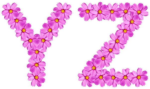 字母花字母孤立