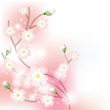 樹(shù)開(kāi)花早午餐豐富多彩的背景