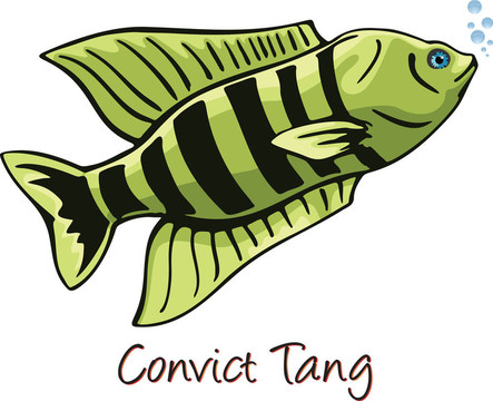 Convict Tang；彩色插圖