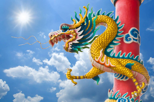 金色中國龍包裹著