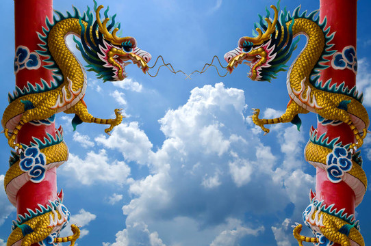金色中國龍包裹著