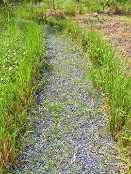 通路
