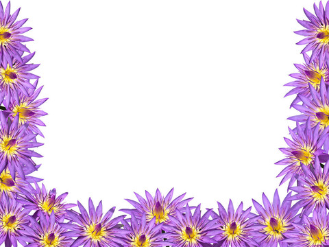 蓮花