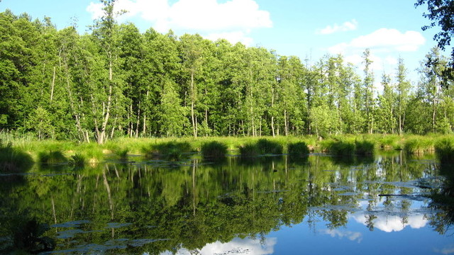 美麗的夏日風(fēng)景