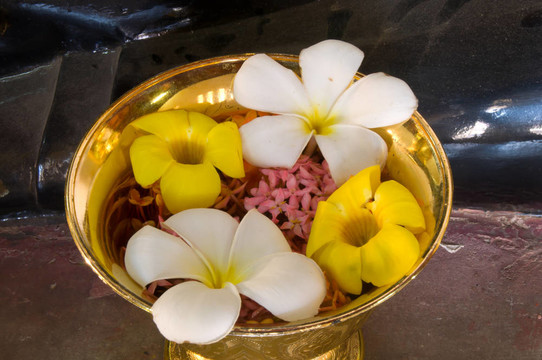 黃金盤(pán)上的花