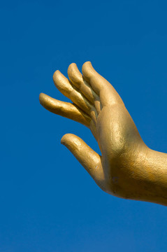 Golden buddha之手