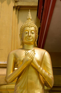 金菩薩