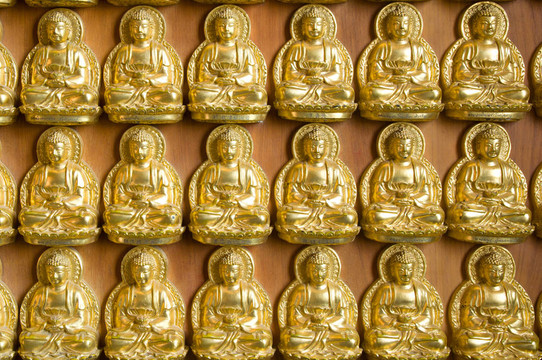 中華寺；金佛寺；