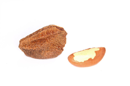 巴西堅(jiān)果