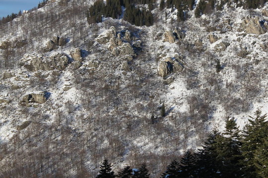 山上的雪