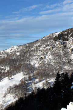 山上的雪