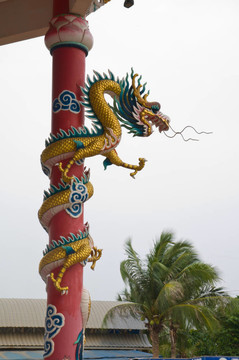 爬竿