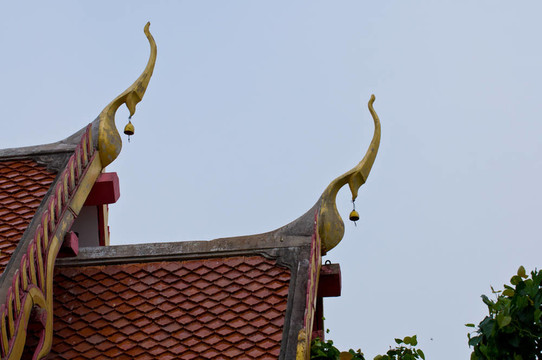 山墻頂向天空