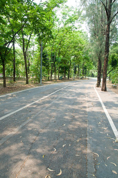 城市公園與居住的街道；泰國(guó)