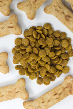 狗食骨頭