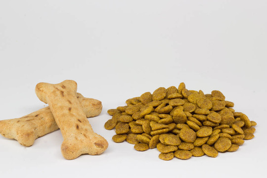 狗食骨頭