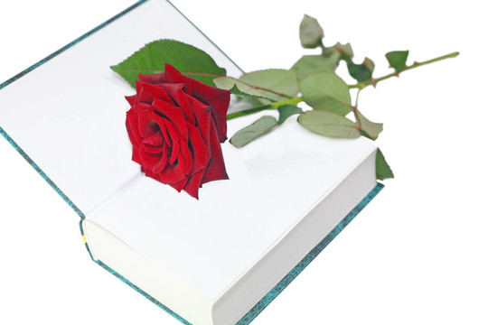 玫瑰隨書