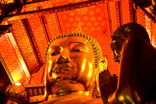 一個(gè)如來佛祖雕像的肖像；Thaila