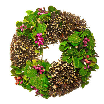 用樹葉和果實(shí)春天的花環(huán)