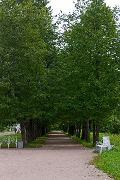 胡同里的Tsarskoye Selo