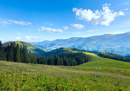 夏季山地高原景觀