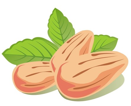 杏仁和薄荷