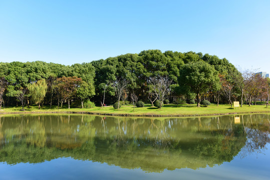 上海世紀(jì)公園的樹林湖泊風(fēng)光