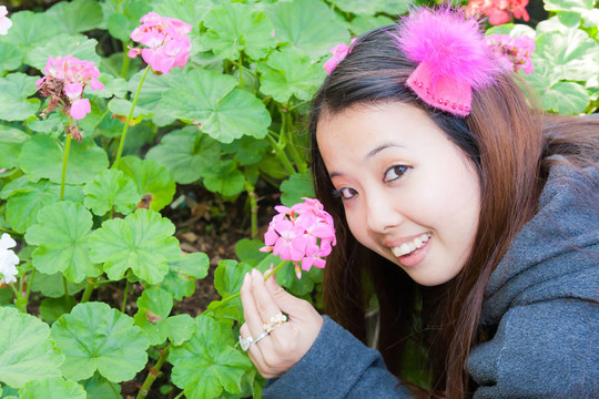亞洲婦女摘繡球