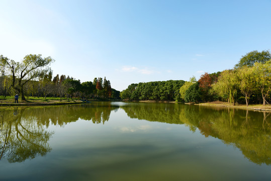 上海世紀公園的湖泊風光