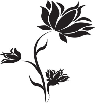 黑色的花。