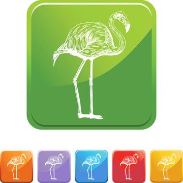火烈鳥