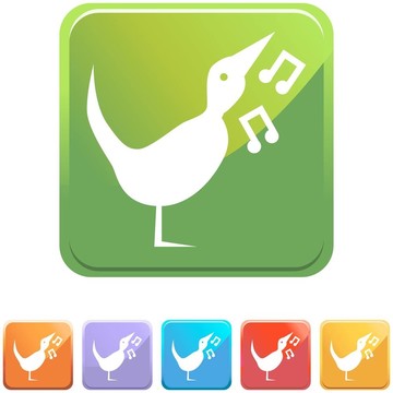 歌唱的鳥