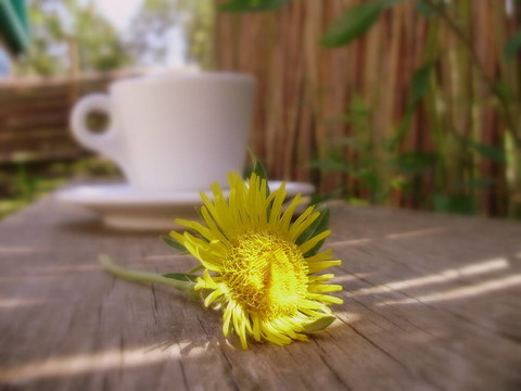 一杯茶