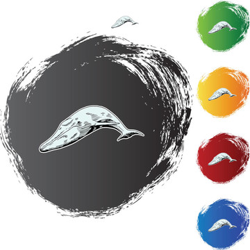 鯨魚