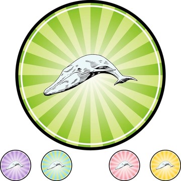 鯨魚