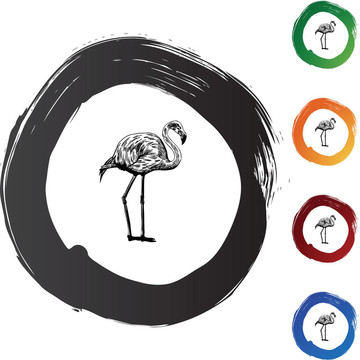 火烈鳥