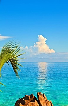 Cloudscape和海景觀