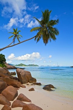 夢海景觀
