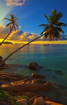 夢(mèng)海景觀
