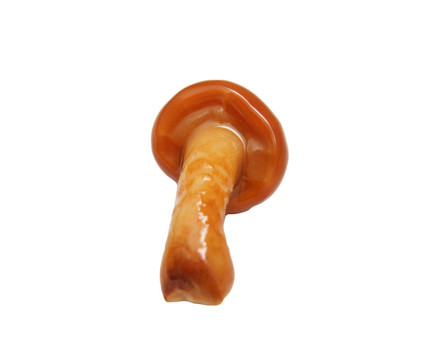 白底蘑菇