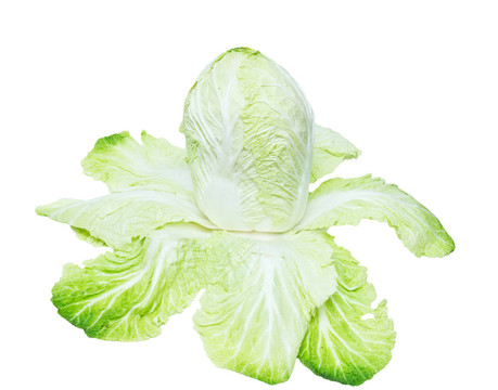 白背景白菜