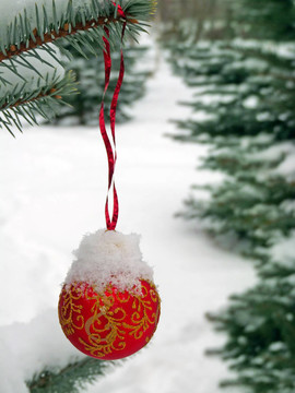 街道上的雪覆蓋的樹(shù)