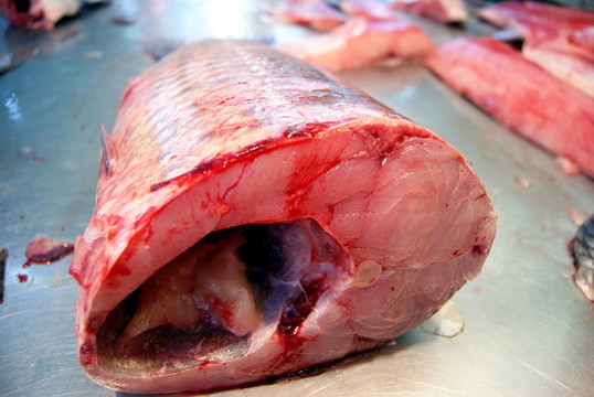 魚的肉