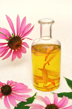紫錐菊精油瓶stillife