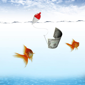游泳金魚和金錢符號