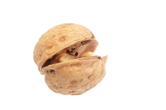 白背景核桃