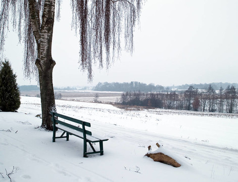 雪地長凳