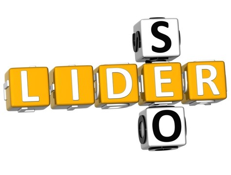 3D Seo Lider Crossword