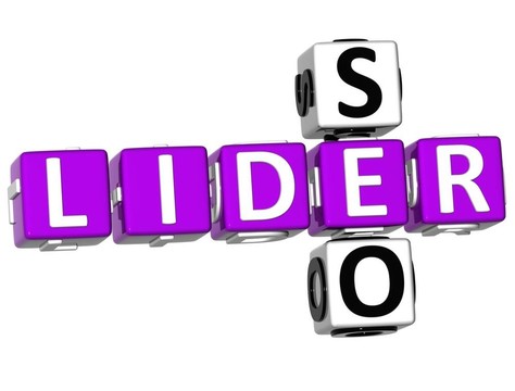 3D Seo Lider Crossword